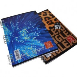 CAIETE A5 80 FILE DICTANDO...