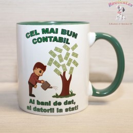 Cel mai bun contabil 1